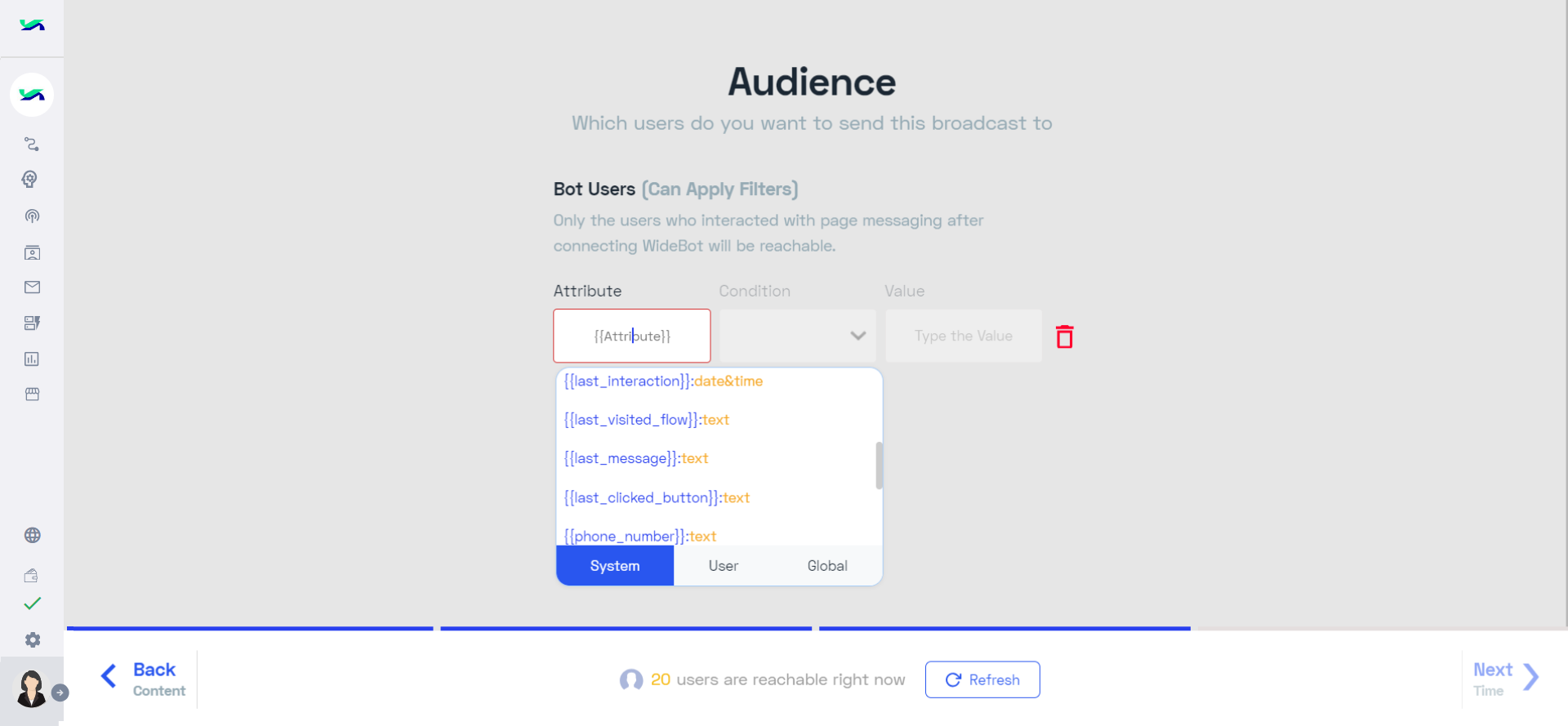 Web Select Audience.png